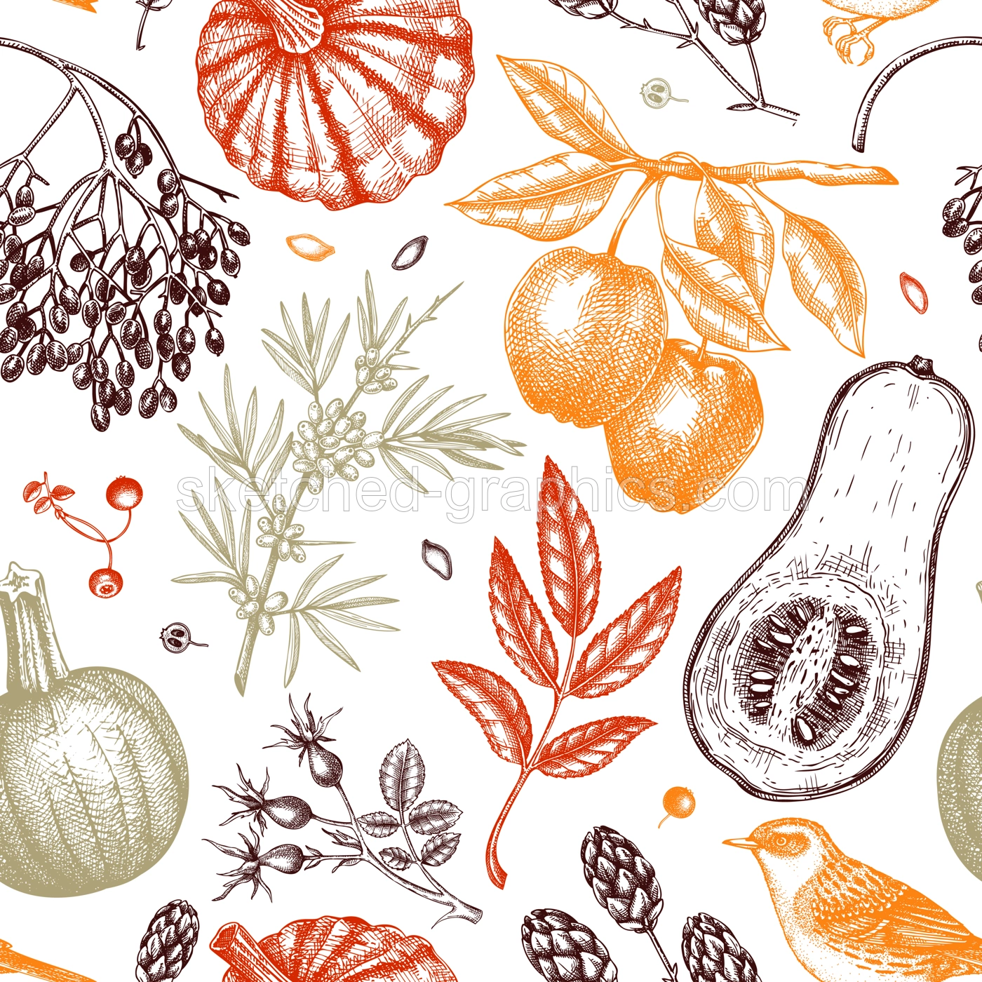 Autumn seamless pattern in sketched style. Botanical drawings of autumn leaves, pumpkins, berries, bird. Vintage fall plants hand drawn background. Thanksgiving day sketches background Illustration